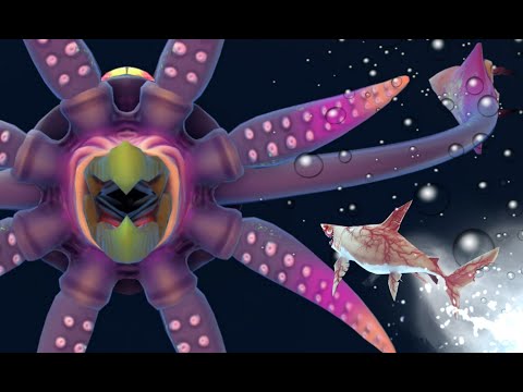 Mako shark (level 1) VS Colossal squid boss | Hungry Shark World