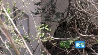 Maltempo, Formello: ecco le immagini della villa travolta da una frana che ha causato un morto e ...