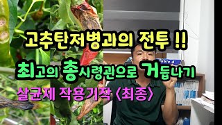 고추 탄저병과의 전투에서 유능한 총사령관이 되어봅시다 살균제작용기작바로알기 최종