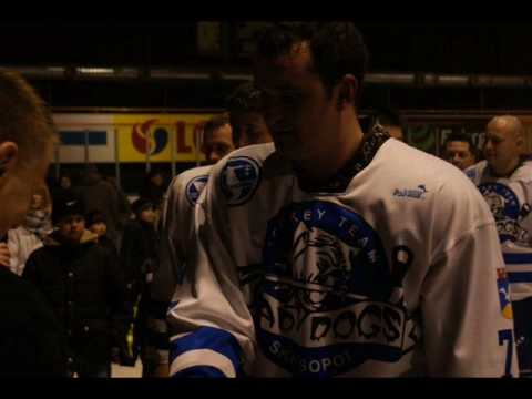 mad dogs sopot vol.II