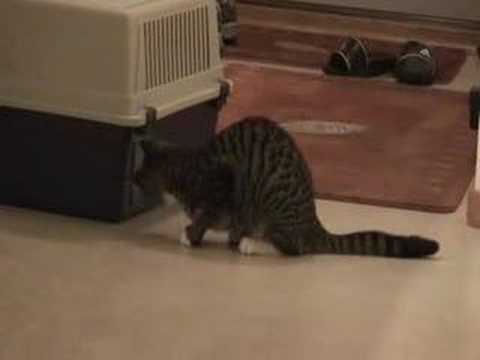 Lyra & Sabriel 3. januar 2008