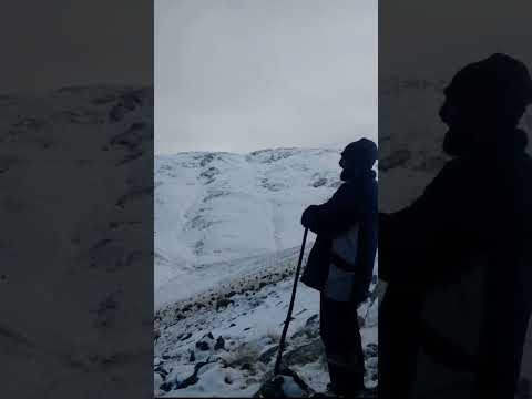 Şad olup gülmedim de eller içinde. Soldu benim gülüm güller içinde. Tarık KARA 👏👏👏