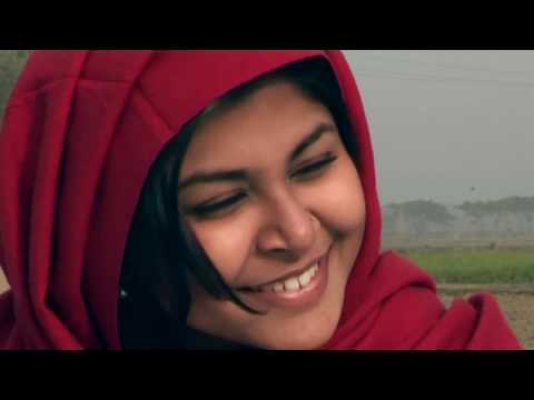 দি ডিরেক্টর