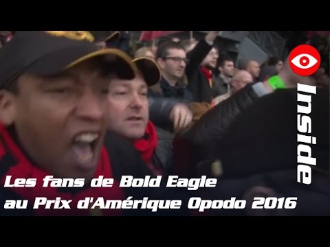 Les supporters de BOLD EAGLE exultent au Prix d'Amérique Opodo 2016 - #INSIDE la #BoldEagleMania !