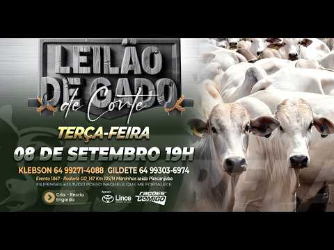 ESTRELA LEILÕES  - AO VIVO - 08/09/2026  -  19H - MORRINHOS - GOIÁS