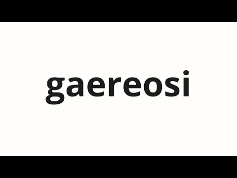 How to pronounce gaereosi | 개럿이 (Garrett in Korean)