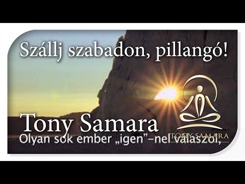 MAGYAR - Szállj szabadon, pillangó! - TonySamara.com - HU