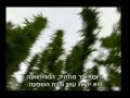 נשלח על ידי מינהלת-האתר בתאריך Wed Sep 30 2009 ב- 11:13pm