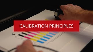 Calibration Principles