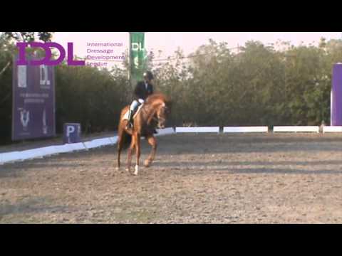 IDDL, 2015, 2IQ, IND-NZ, CH 1, Pranay Khare & Basanti