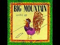 Big Mountain    Touch My Light   1992