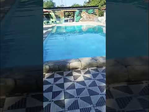 Terremoto é sentido no Brasil em Tefé AM