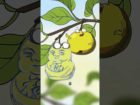 Por que essa pera custa 20 VEZES MAIS?! 😳🍐