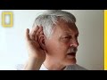 Take The High Frequency Hearing Test Brain Games