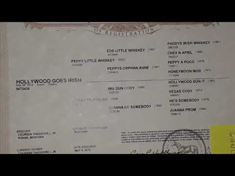 Hollywood Goes Irish