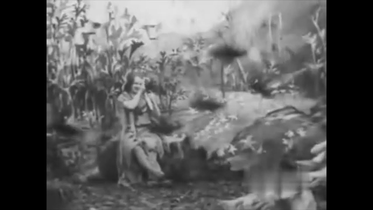 A Diabolo Nightmare (1907) Urban