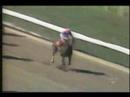 Cigar Breeders Cup Clip 1995 - all about his background