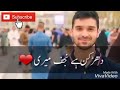 Ali Shanawar Nohay WhatsApp Status Ali Jee Ali G Nadeem Sarwar Ya Ali Ali Haider