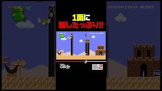 1面なのに騙したっぷり！【マリオメーカー2】