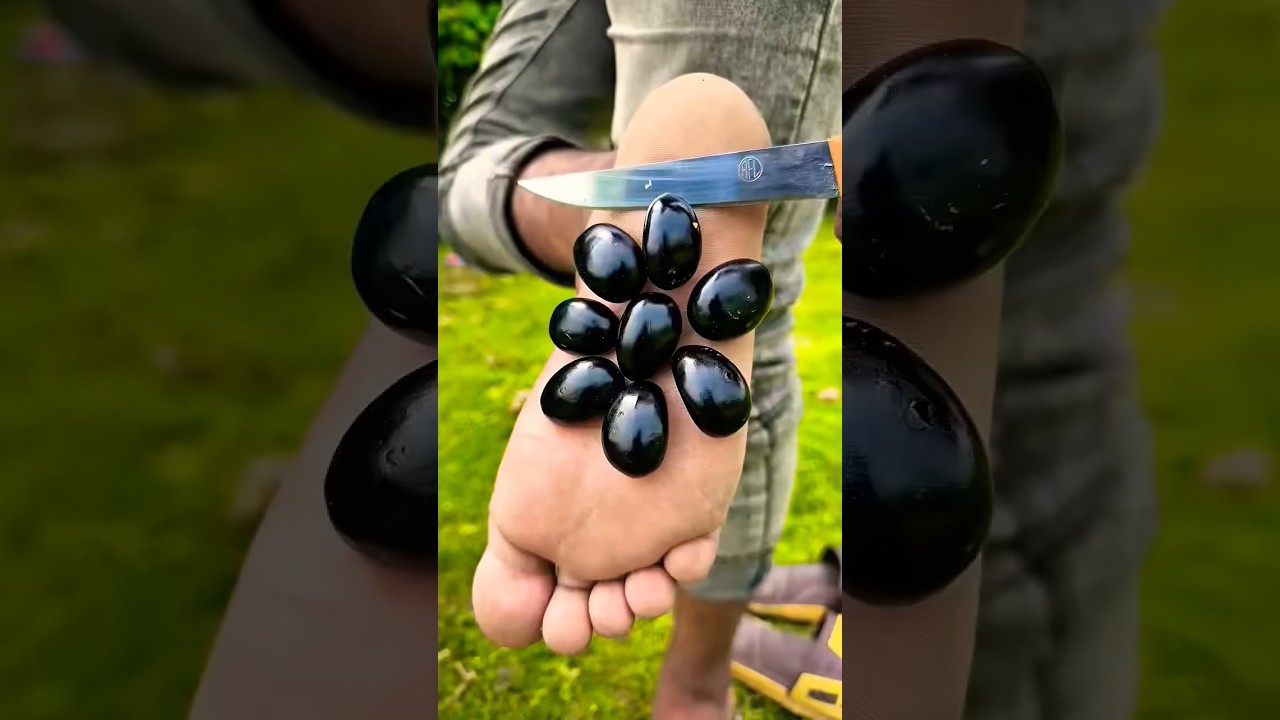 Part 25✅ Survival Skills:Smart idea and useful in Forest #camping #outdoors#survival #shorts