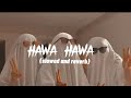 Hawa Hawa Song 🎵🤍[Slowed+Reverb] Check Disappoint 🤑👇@BAULKANGAL