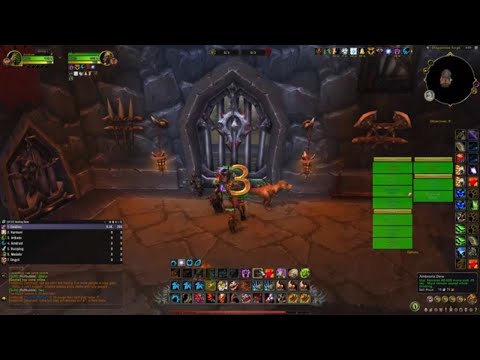 Dragonflight Feral Druid PVP Twin Peaks