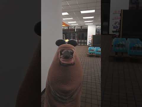 He Put What in the Fuel Tank