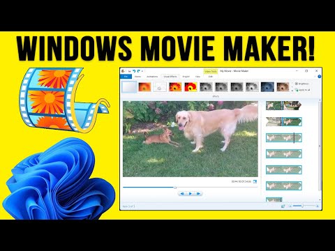 How to Install and Use Windows Movie Maker on Windows 11
