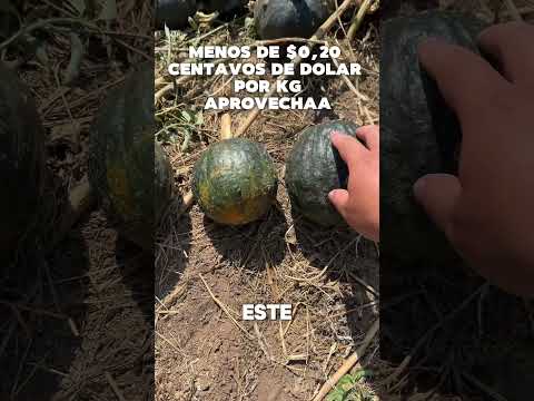 SOMOS DE ARGENTINA DEL NORTE DE SALTA EMBARCACION