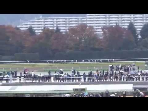 2016.11.27 第36回ジャパンカップです。