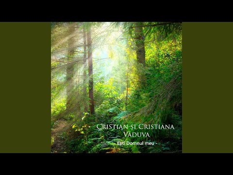 Toată lumea mă lovea