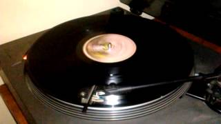 Steve Hacket Fragmento de Vinilo Cured