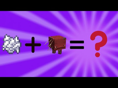 Minecraft's Insane Cursed Experiment!