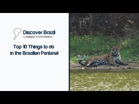 Top 10 Things to do in the Brazilian Pantanal