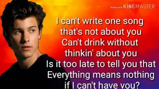 Shawn Mendes- If I Can't Have You (Lyrics)