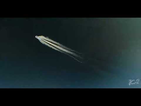 Symphony of Speed: FPV Drone Chases Yamaha Jetboat on Lake Minneola