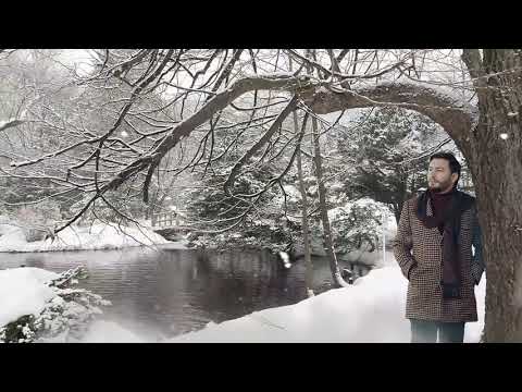 Temur Javoyan - Daye / 2020