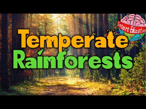What are temperate rainforests?