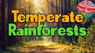 What are temperate rainforests