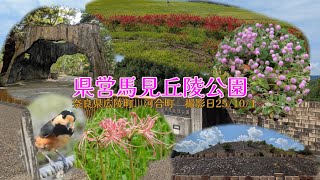 【馬見丘陵公園】馬見古墳群と季節の美しい花の風景が楽しめる奈良の人気スポット。#風景 #癒し #公園 #flowers