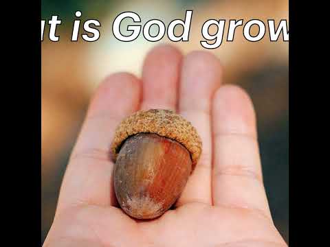 S2 Ep2287: "What is God growing?" | Malcolm Cox | 07 September 2025