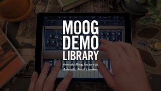 Video thumbnail for Model D iOS App | Gestures Explained by Moog Music