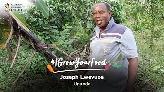 Meet Joseph Lwevuze, an organic farmer from Uganda 🇺🇬