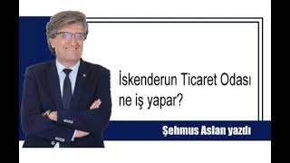 İskenderun Ticaret Odası ne iş yapar?
