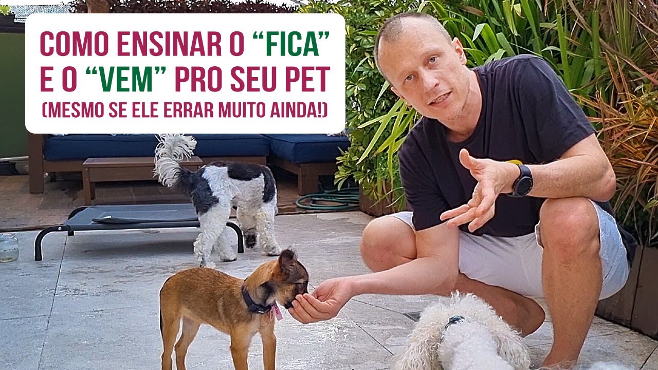 Como ensinar o “fica” e o “vem” pro seu pet (mesmo se ele errar muito ainda!)