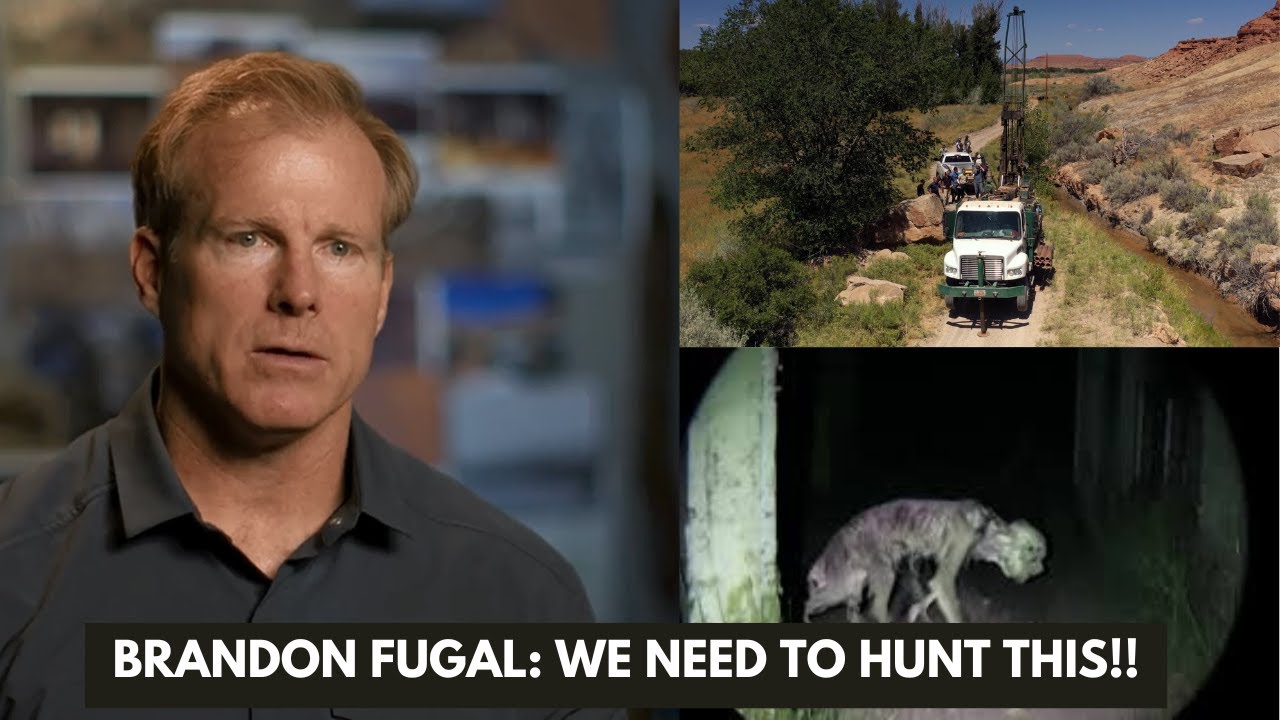 YouTube Thumbnail Downloader FULL HQ IMAGE