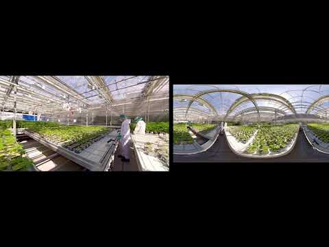 CannTrust - Customer success Story