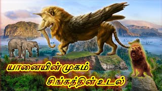 Tamil Animal Video Watch HD Mp4 Videos Download Free Tamil Animal Video Watch HD Mp4 Videos Download Free