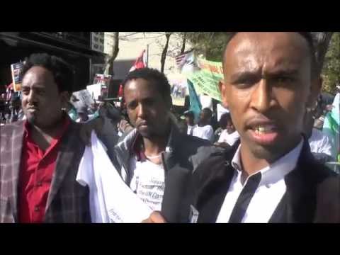 ASSENNA VIDEO: Faces & Voices of Courageous Eritreans from New York (Oct 29, 2015): Youth – Part 3