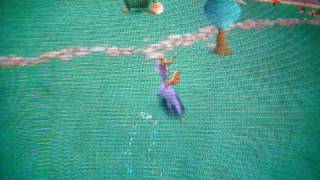 "Spyro" PS Playstation